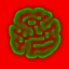 Seed